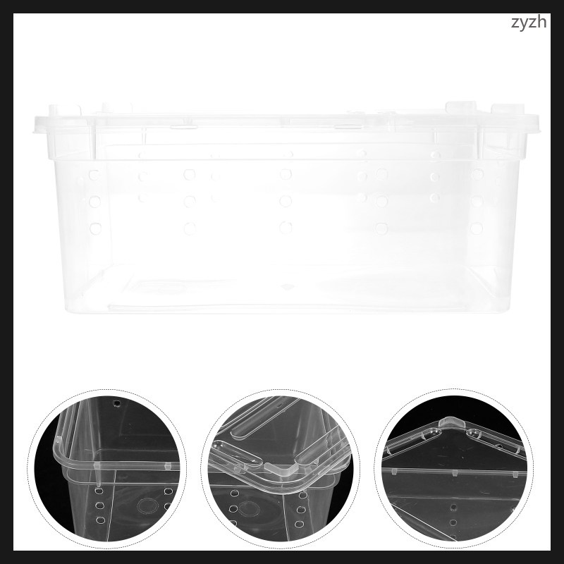 Mini Reptichip Insect Rearing Box Clear Plastic Containers Large Case