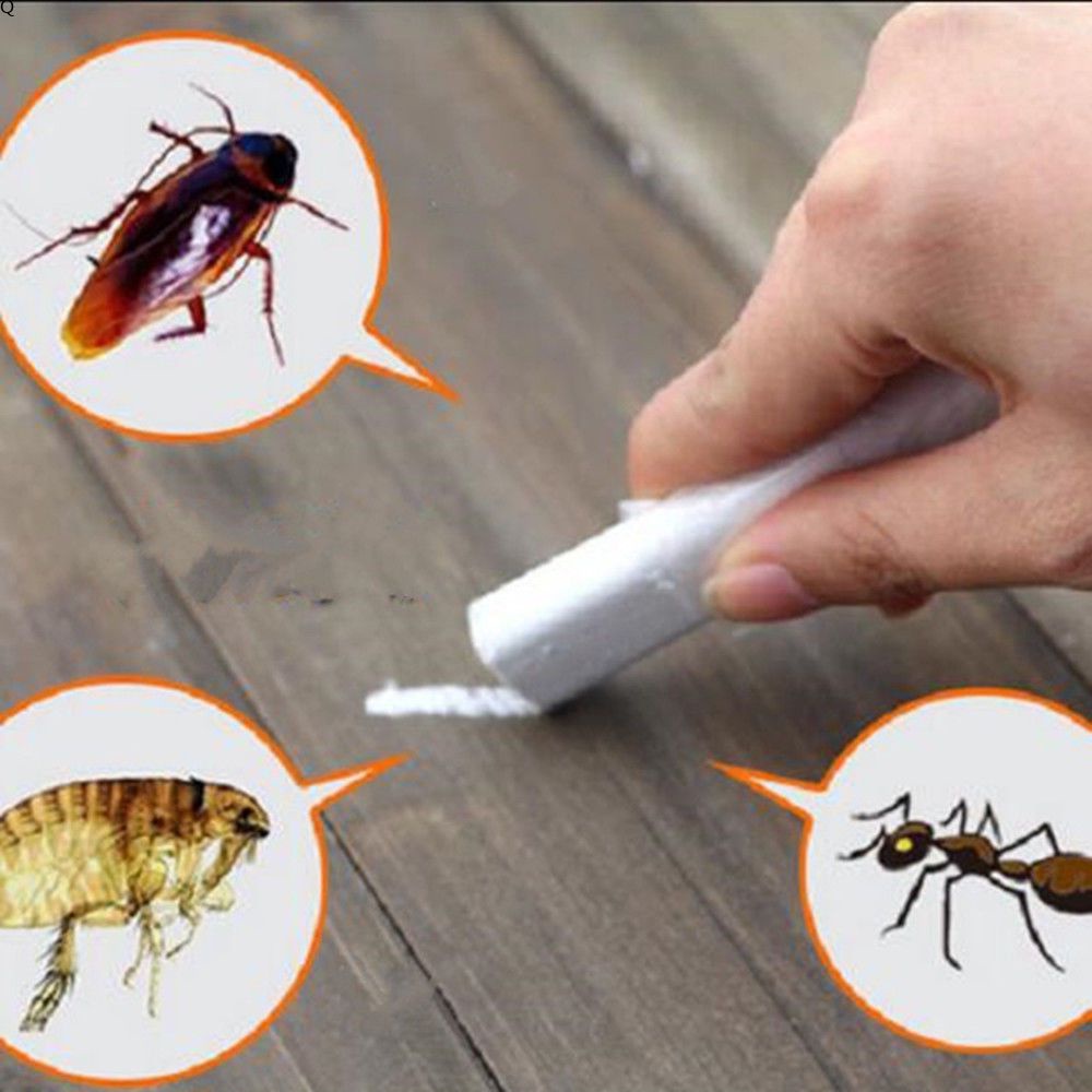 Miraculous Chalk Killer For Killing Cockroach Roaches Ant Lice Flea ...