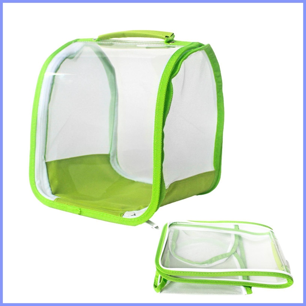 Caterpillar Cage Habitat Collapsible Top Handle Grasshopper Cage Cage ...