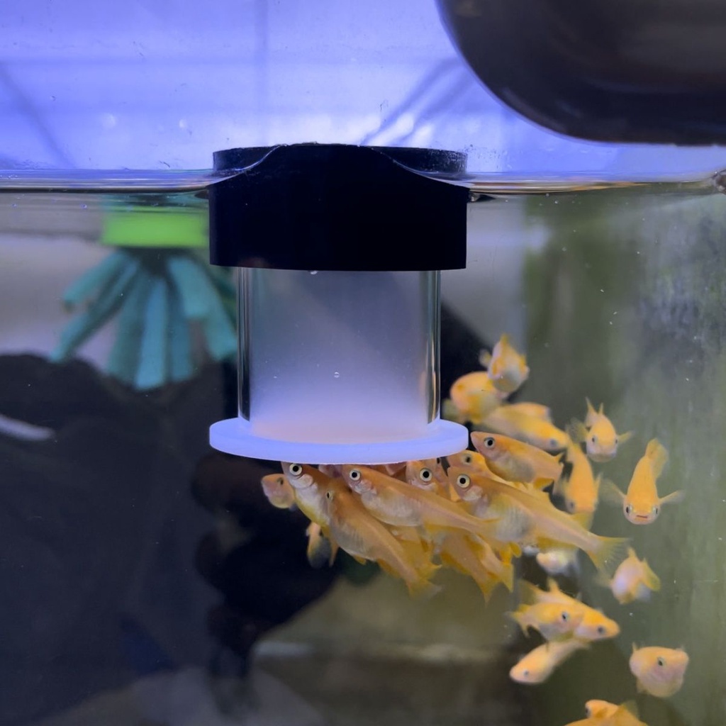 Fish Tank Feeder Small Guppy Fish Feeding Tube SemiAutomatic Brine Shrimp Larva Braised Worm