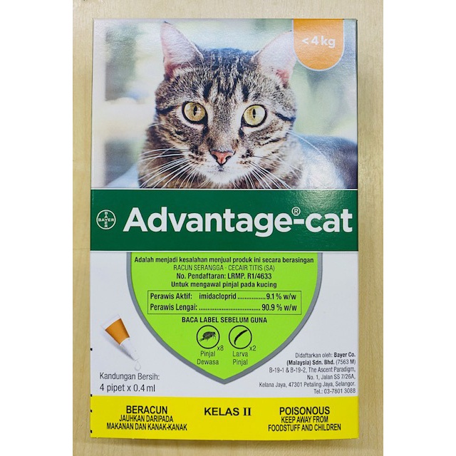 Bayer advantage 2025 for cats