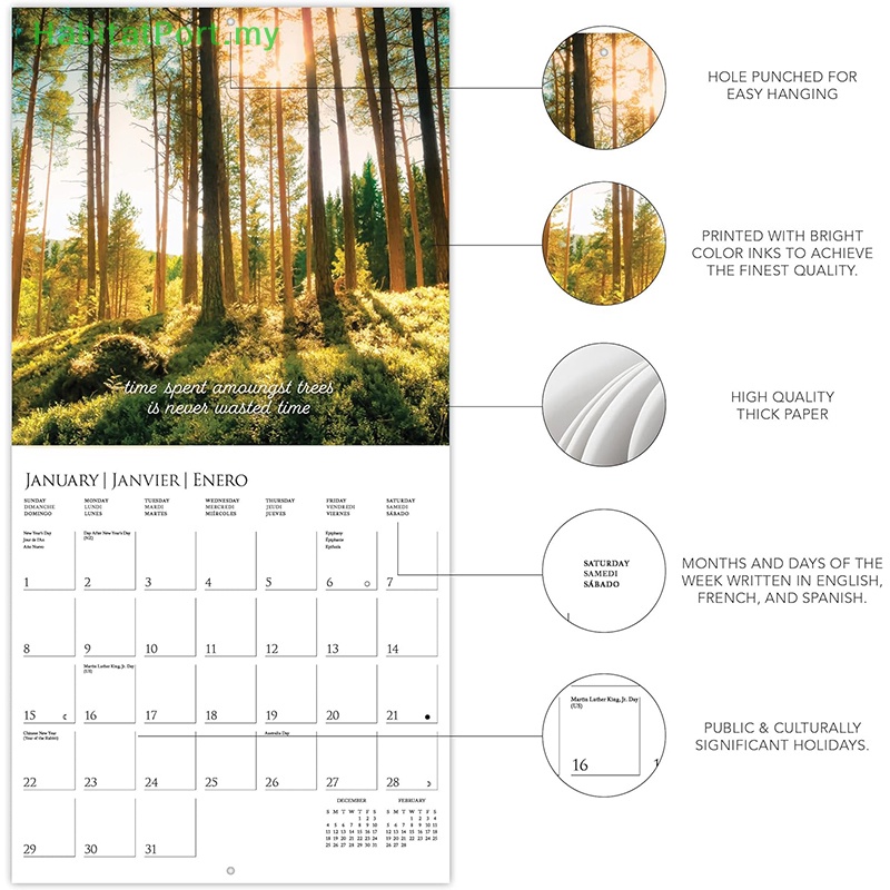 HabitatPort 2024 Wall Calendar Into The Woods Thick Paper Home Office   Sg 11134201 7rbnj Lphrlzwwjlgj39