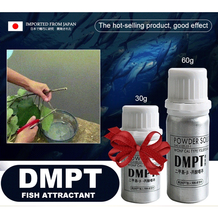 Ready Stock】 DMPT Fishing Bait for Carp Crucian Grass Silverand