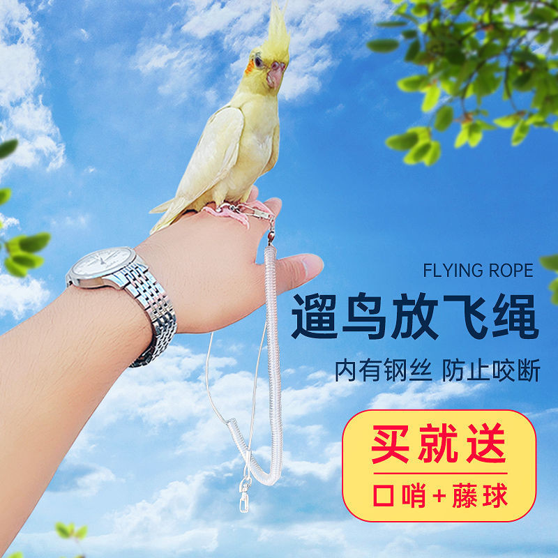 Parrot Flying Rope Training Rope Bird Rope Traction Rope Bird Walking ...