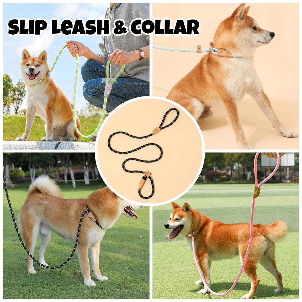 Slip Lead Dog Leash Harness Collar Nylon Rope Pet Training Puppy Small  Medium Large Dogs No Pull Choke-Free Dog Walking