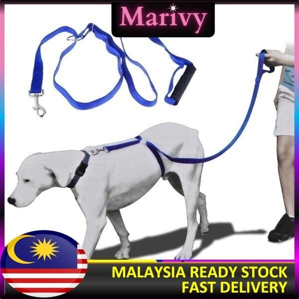thumbnail image 2 of Instant Trainer Dog Leash – Stops Pulling For Dogs Up To 30 Lbs – As Seen On TV 2 of 2