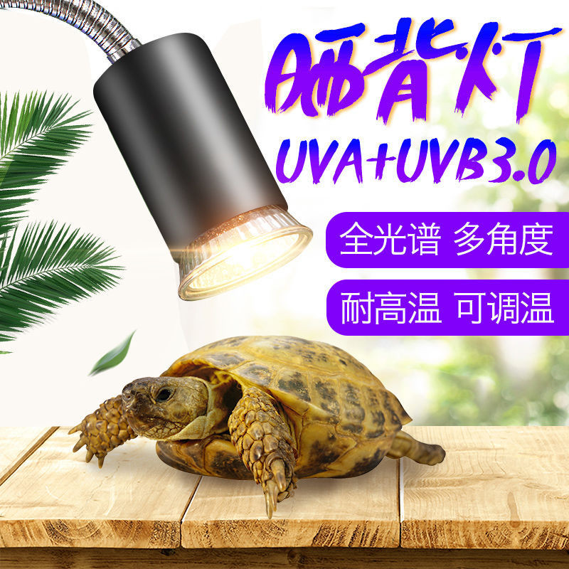 Turtle Backlight Heating Calcium Supplement Sun Turtle uvb Three-in-One ...