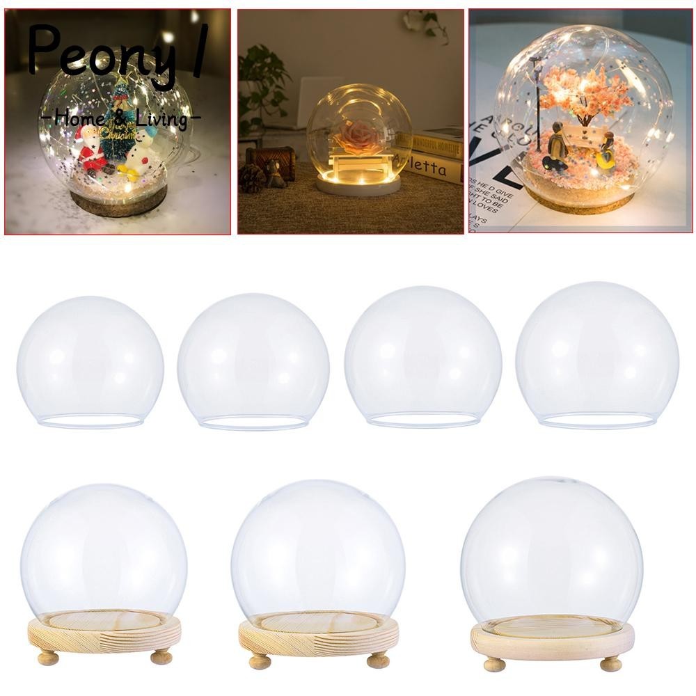 PENY Jar Glass Vase Spherical Transparent Bottle Terrarium Glass cloche ...