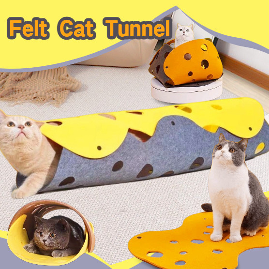 Pet Supplies Train Outdoor Cat To Use Litter Box The Porta-Pawty