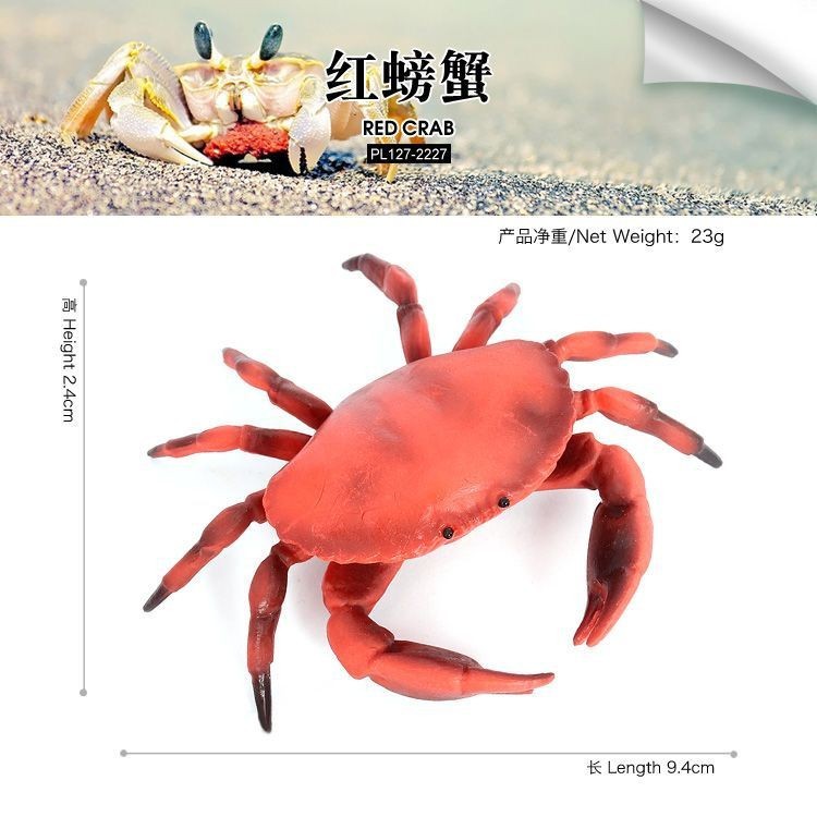 ♞Manufacturer Wholesale♞Simulation Ocean Undersea Animal Model Crab