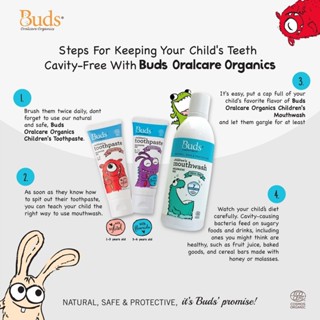 Buds Oral Care Organics Oral Gel with Xylitol / Children's Toothpaste ...