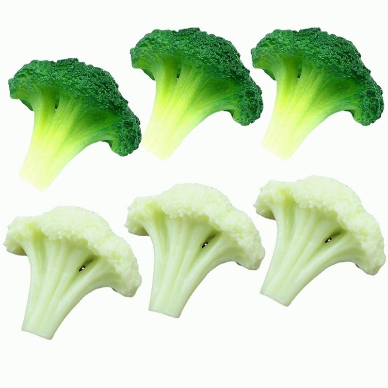 Simulated Vegetables Cauliflower Broccoli Model Artificial Food ...