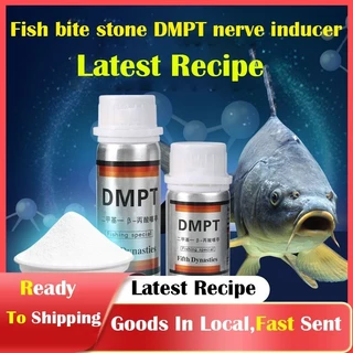 DMPT Fish Attractant,DMPT Fishing Bait Additive Powder,High Concentration Fish  Bait Attractant Enhancer,Fishing Lure Additive Powder,DMPT Fish Attractant  Powder (40g) : : Sports & Outdoors