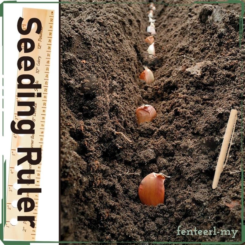 [Fenteer1efMY] Wooden Plant Ruler with Planting Wood, Seed Placement ...