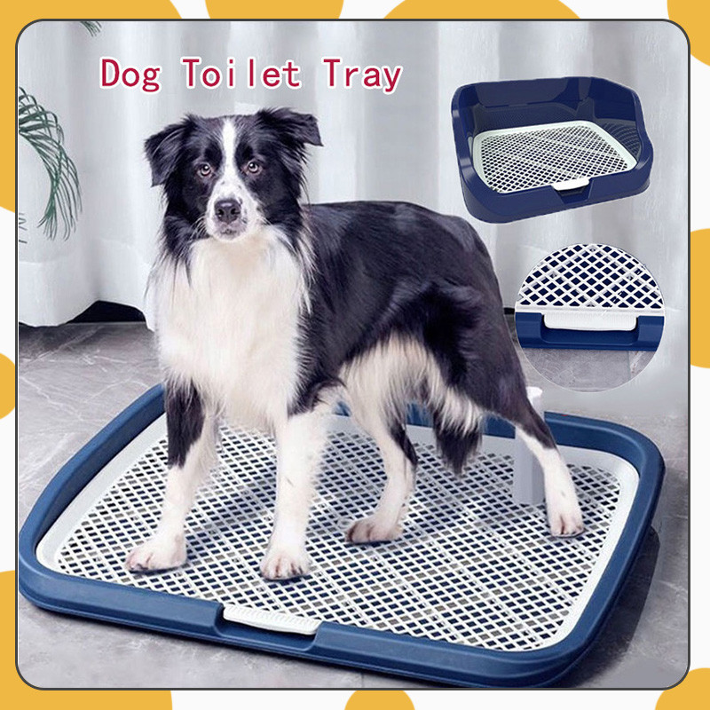 Mat Puppy Toilet Tray Dog Balcony Potty L Portable Dog Potty