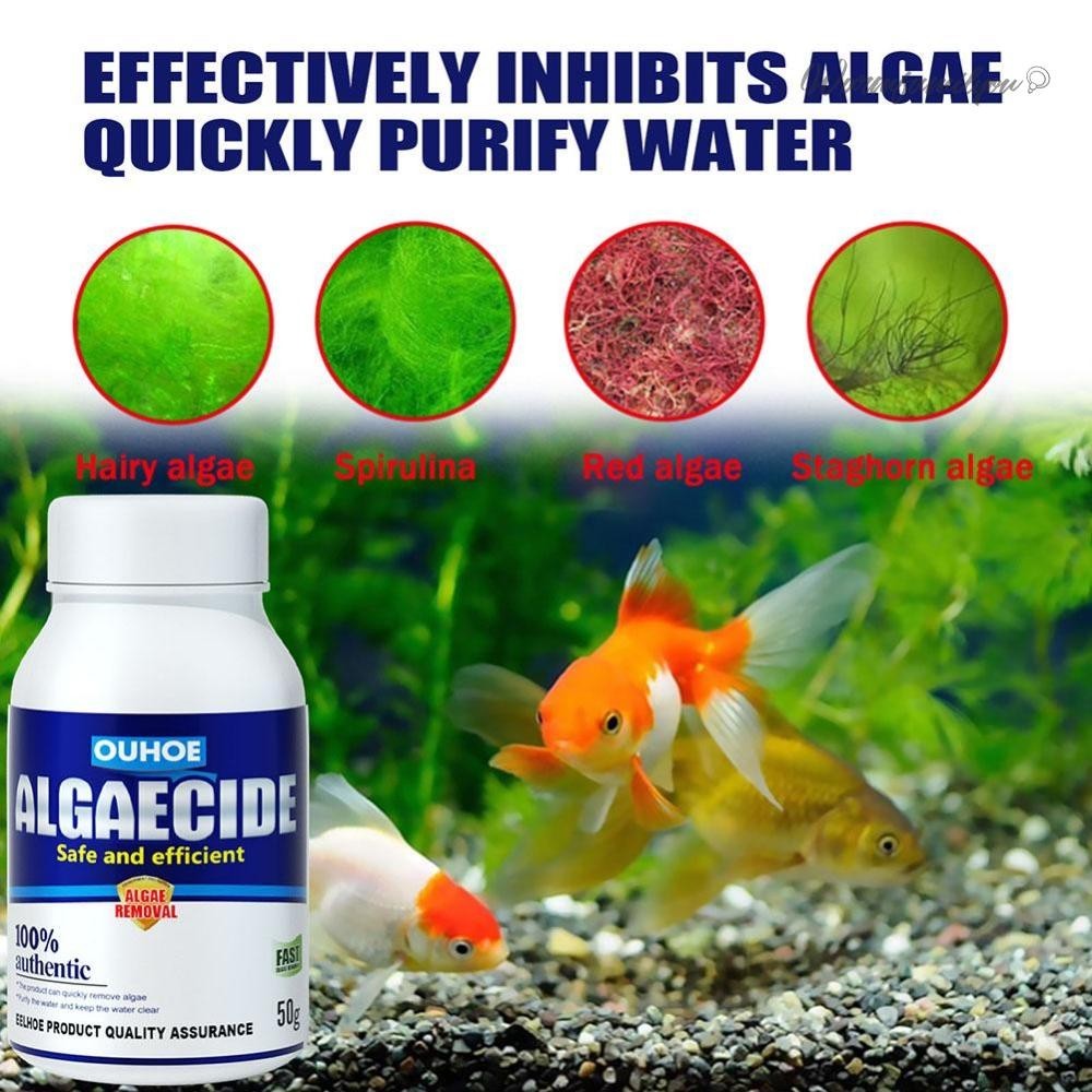 Aquarium Algaecide Water Algae Control Fish Tank Moss Removers Cleaning
