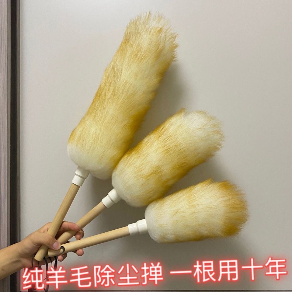 "Versatile Feather Duster for Dusting at Home and in Vehicles, Perfect