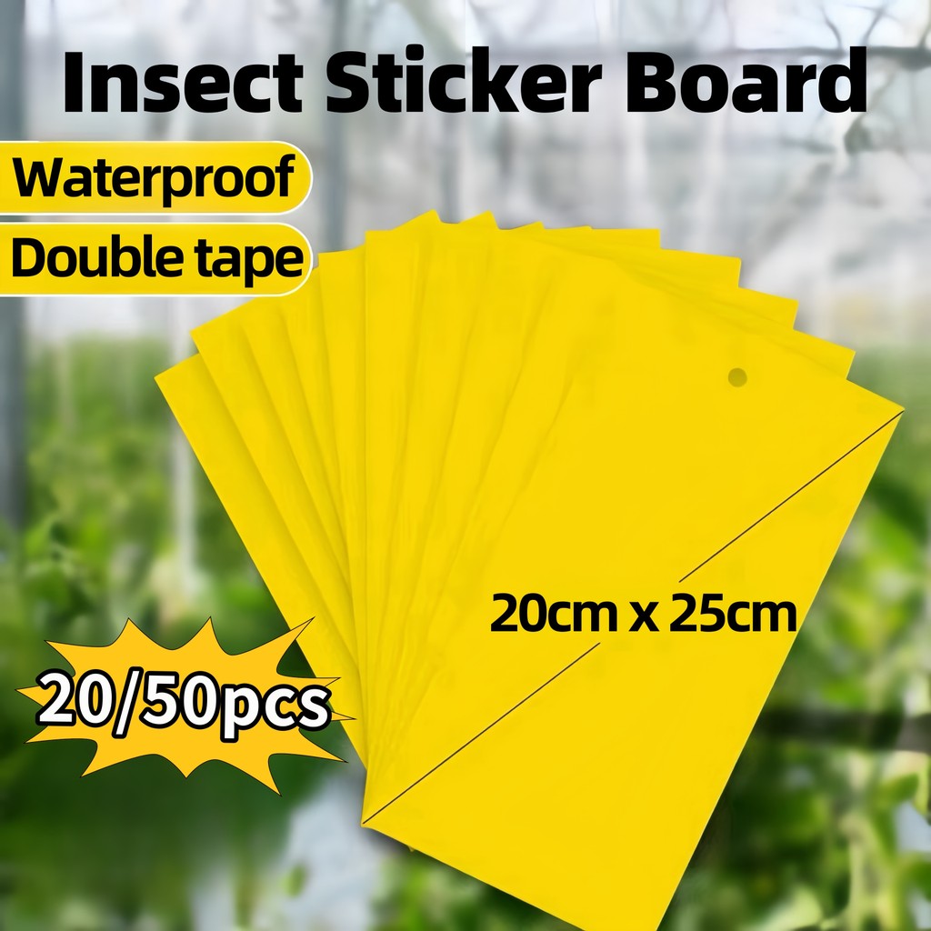 Insect Sticker Board 50pcs Double Sided Sticky Board Insect Fruit Fly ...