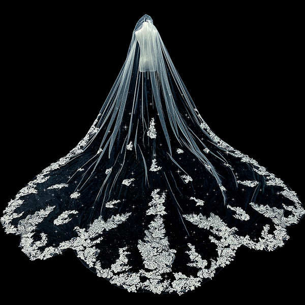Bridal Wedding Master Wedding Dress Veil Super Fairy Forest Style High ...