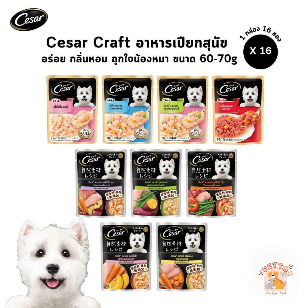 Cesar Wet Food For Dogs [16 Sachets] Fragrant And Delicious Pack Size 6070g. Shopee Malaysia