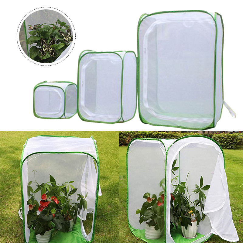 Pet Cage Incubator Box Butterfly Observation Foldable Cage Pet ...