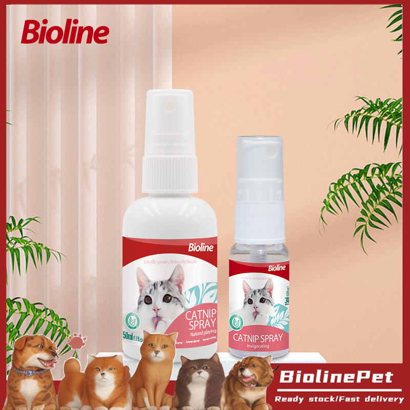❤Bioline❤️Catnip Spray Anti Stress Cat Catmint Pet Inducer