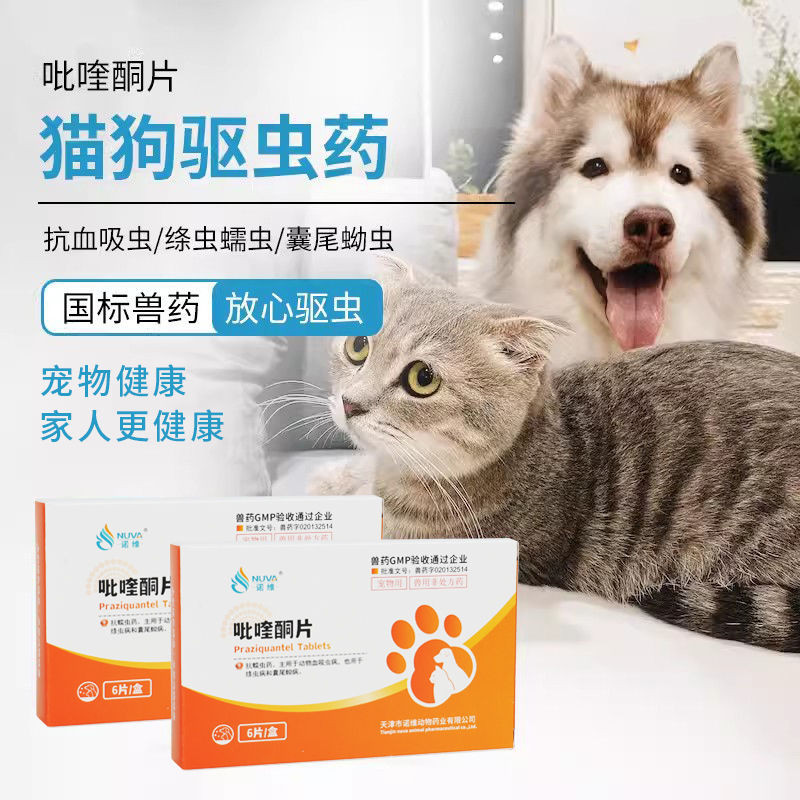 Pet dog and cat deworming medicine coccidia toxoplasmosis infection E