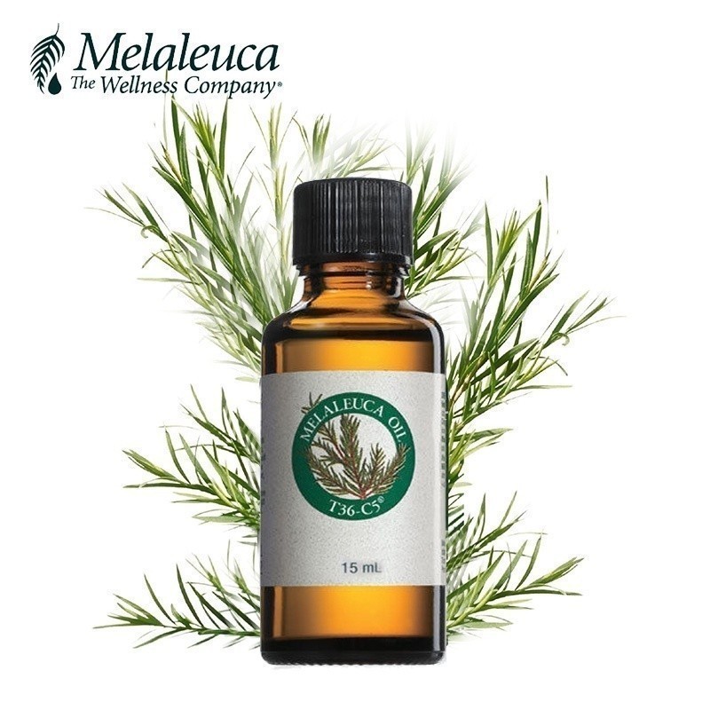 {Melaleuca Official M'sia) Melaleuca Oil / Tea Tree Oil / MelaGel ...