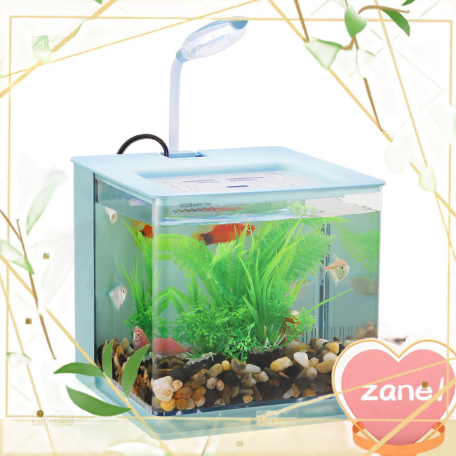 ZANE Small Fish Tank, Small Aquarium With Built-in USB Water Pump, Led ...