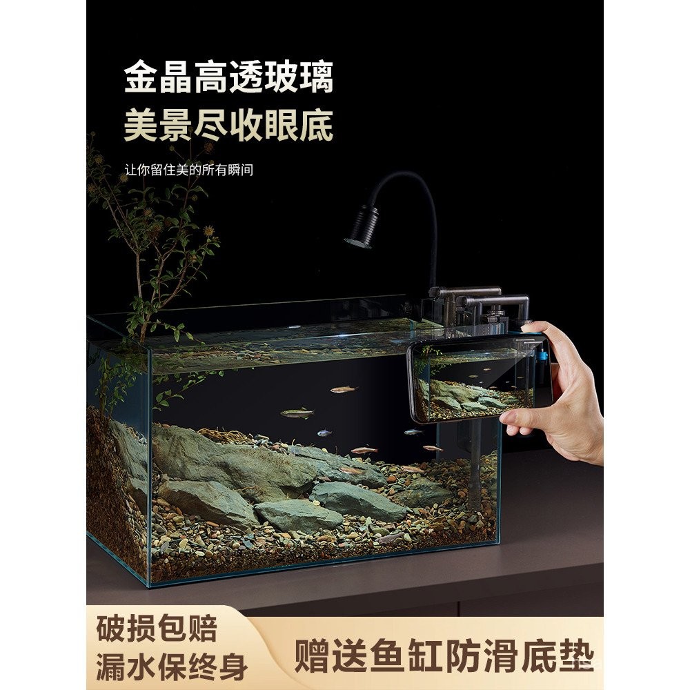 Jinjing Ultra White Glass Fish Tank Rectangular Aquarium Ecological ...