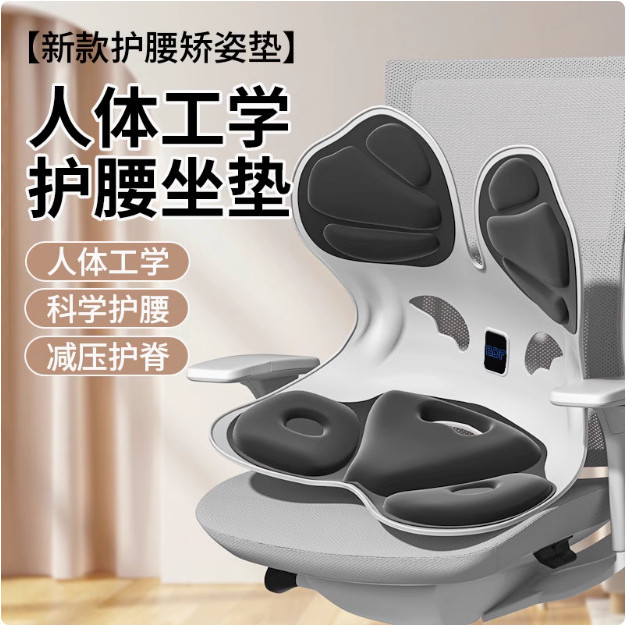 Back Multi-point Office Sedentary Not Tired Handy Tool Ergonomic Chair ...