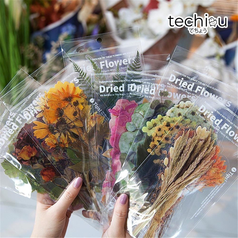 6pcs/30pcs set Large Size Plant Stickers Retro Flowers Plant Clear PET ...