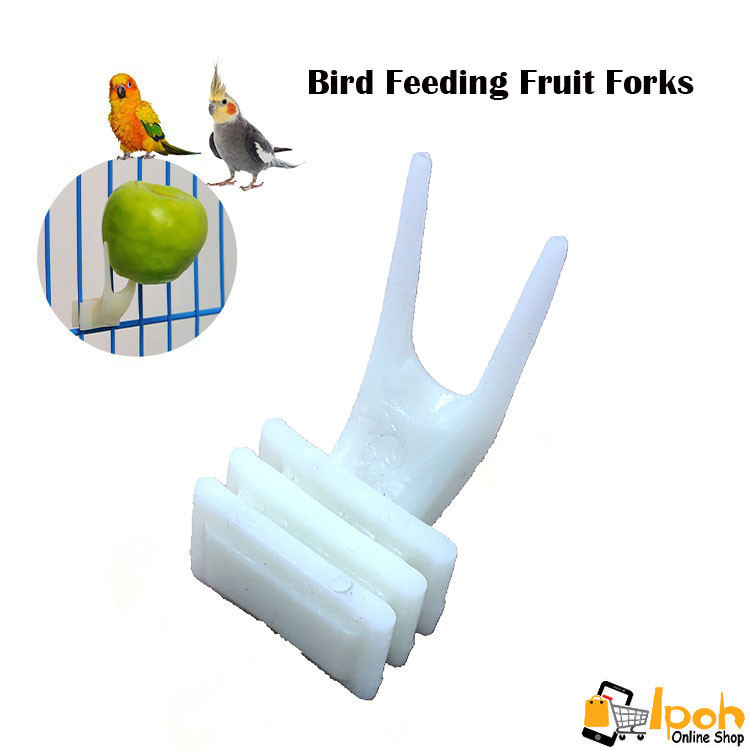 Bird Feeding Fruit Forks Supplies Plastic Food Rack parrot Feeder ...