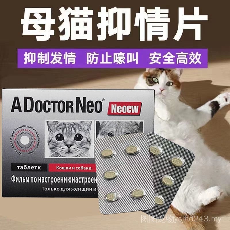 [8000 People Collection] Neo Cat Forbidden Love Powder Female Cat ...
