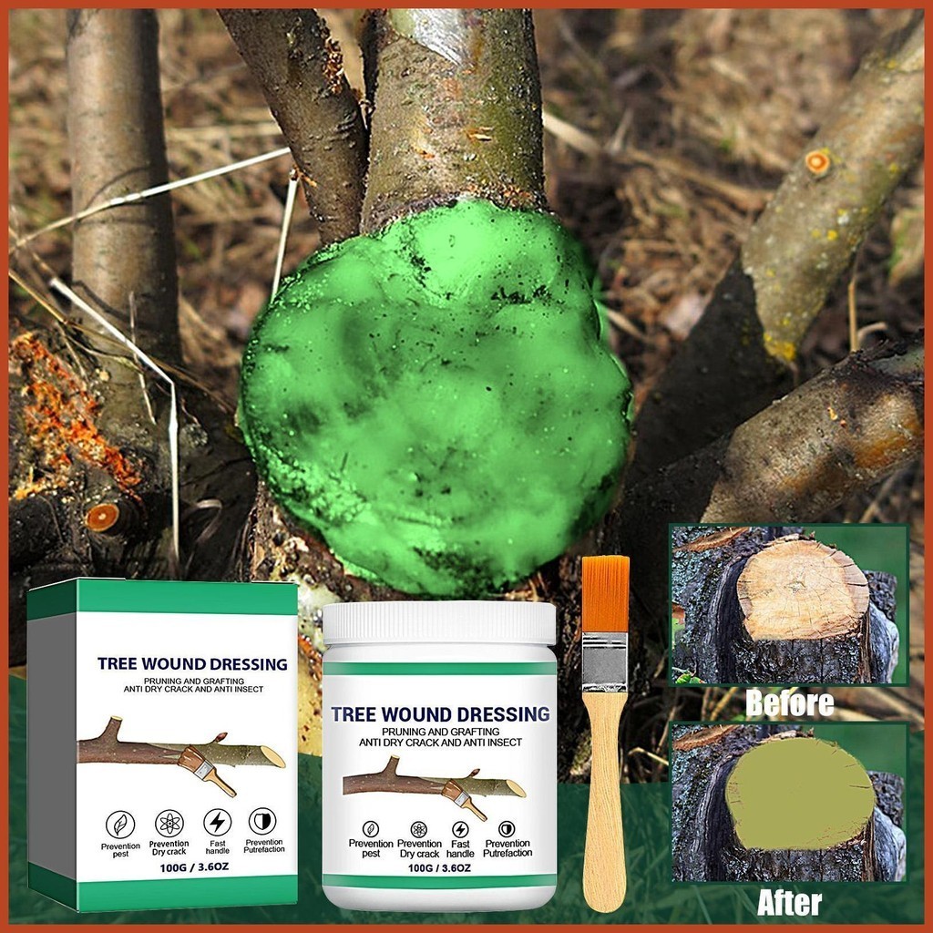 Tree Wound Repair Pruning Compound Sealer with Brush 100g Pruning ...
