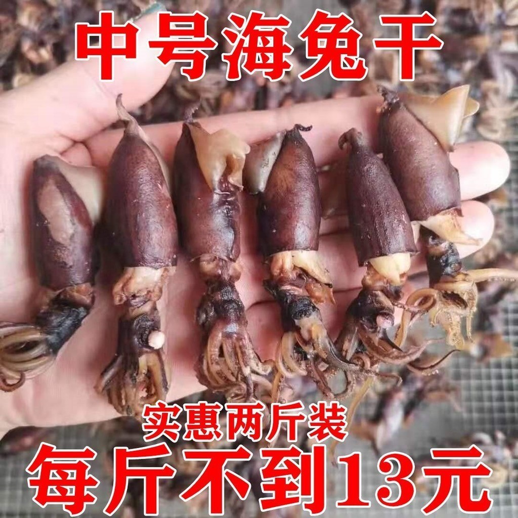 New goods, sea rabbit, dry, semidry cuttlefish, dry, sandless squid