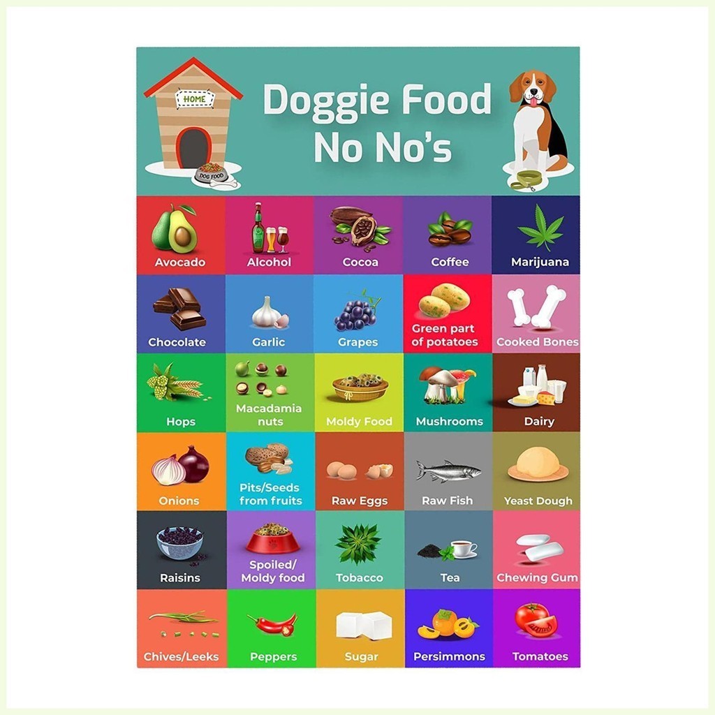 Dog Safe Food List Dog Food Safe Guide with 30 Food Types Dog Feeding ...