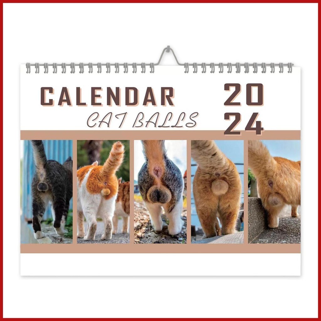 Wall Calendar 2024 Funny Cat Calendar from Jan 2024 Dec 2024 Cute