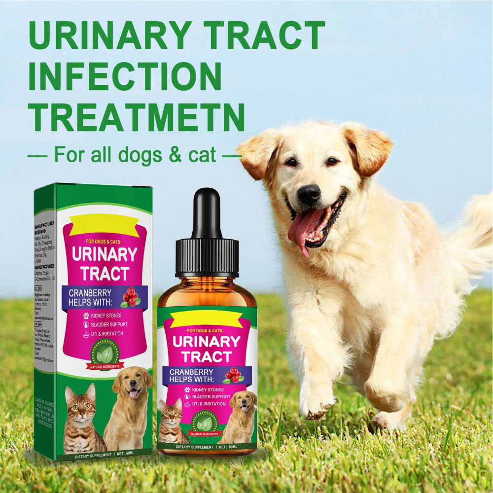 Illustration of Cat Uti Natural Treatment With Raspberry Leaf