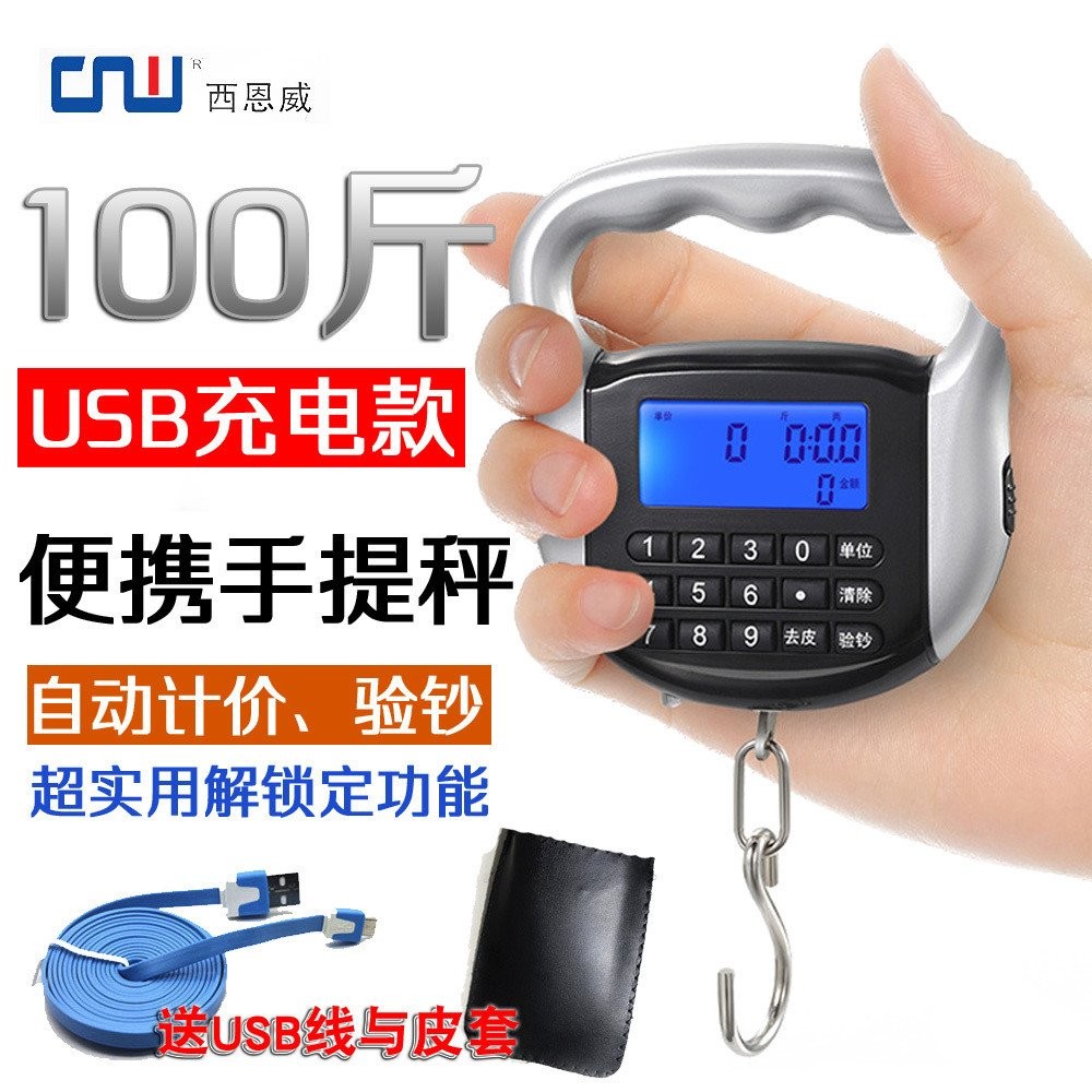 Rechargeable Portable Scale Price Scale Precise Electronic Scale Hand ...