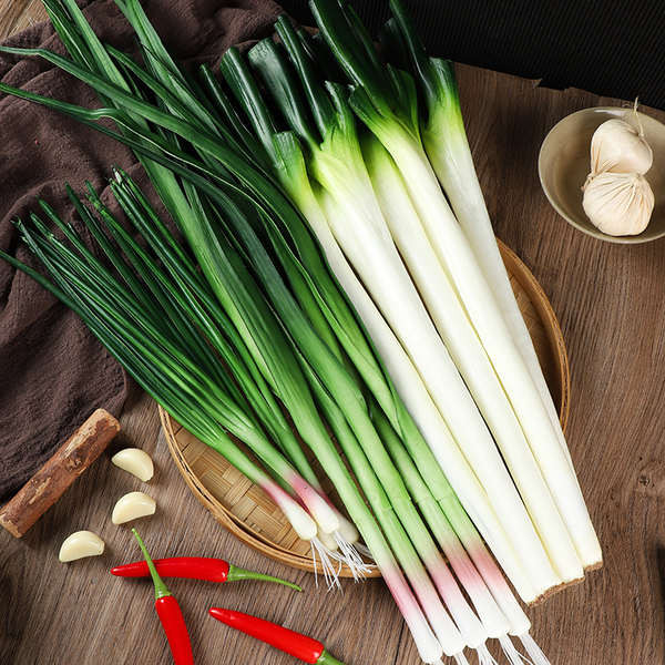 fake eggplant Simulation Onion PU Fake Green Onion Model Vegetable Food ...