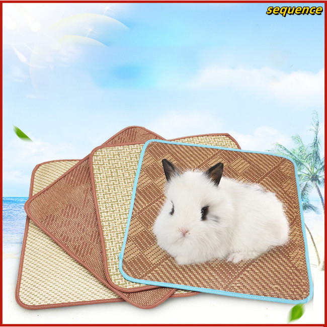 Se Pet Rattan Mat Multipurpose Cooling Pad Sleeping Mat Pet Summer ...