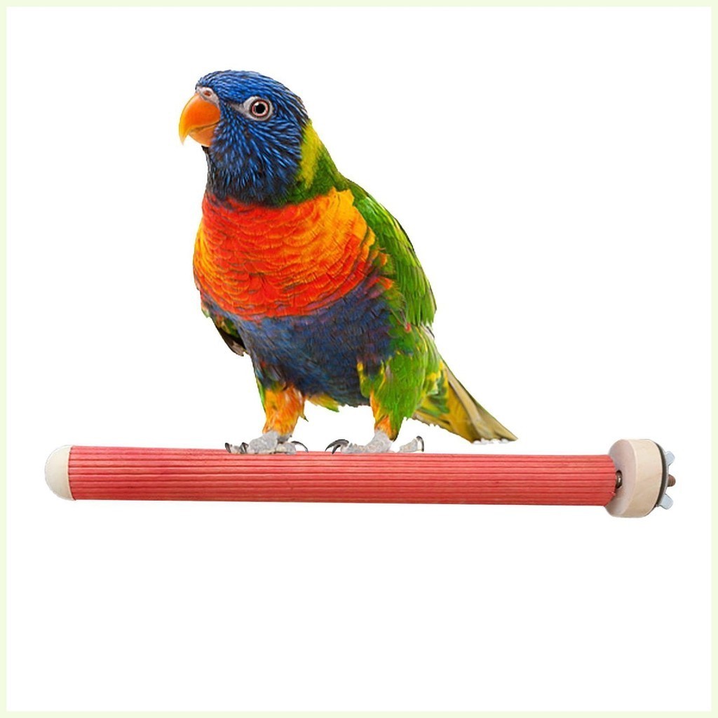 Bird Parrot Perch Stand Wood Bird Perch Stand Paw Grinding Sticks ...