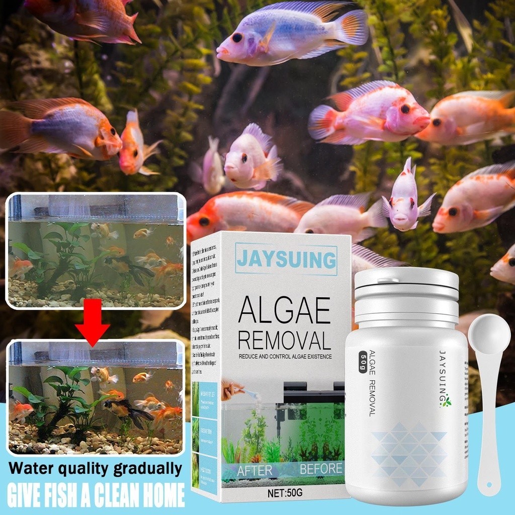 50g Algae Remover with Spoon Aquarium Moss Remover Purification ...