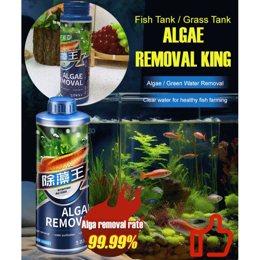 【Algae King】Crazy Aquatic Weed Algae Remover Algaecide Removal of Algae ...