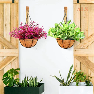wall plant hanger - Prices and Promotions - Apr 2024