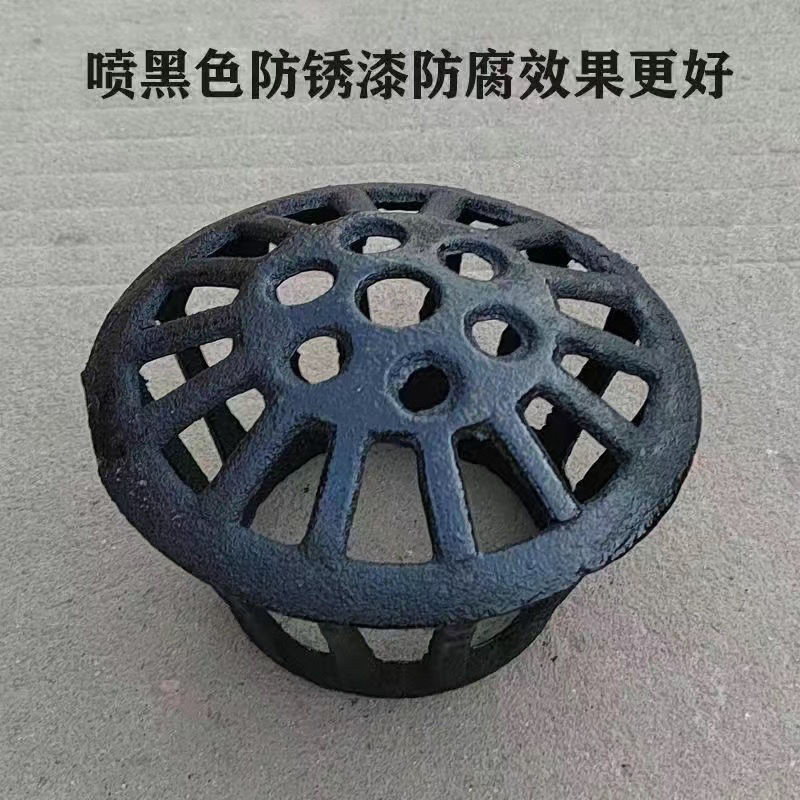 Cast Iron Floor Drain Tennis 110 Roof Rain Pipe Falling Water Pipe