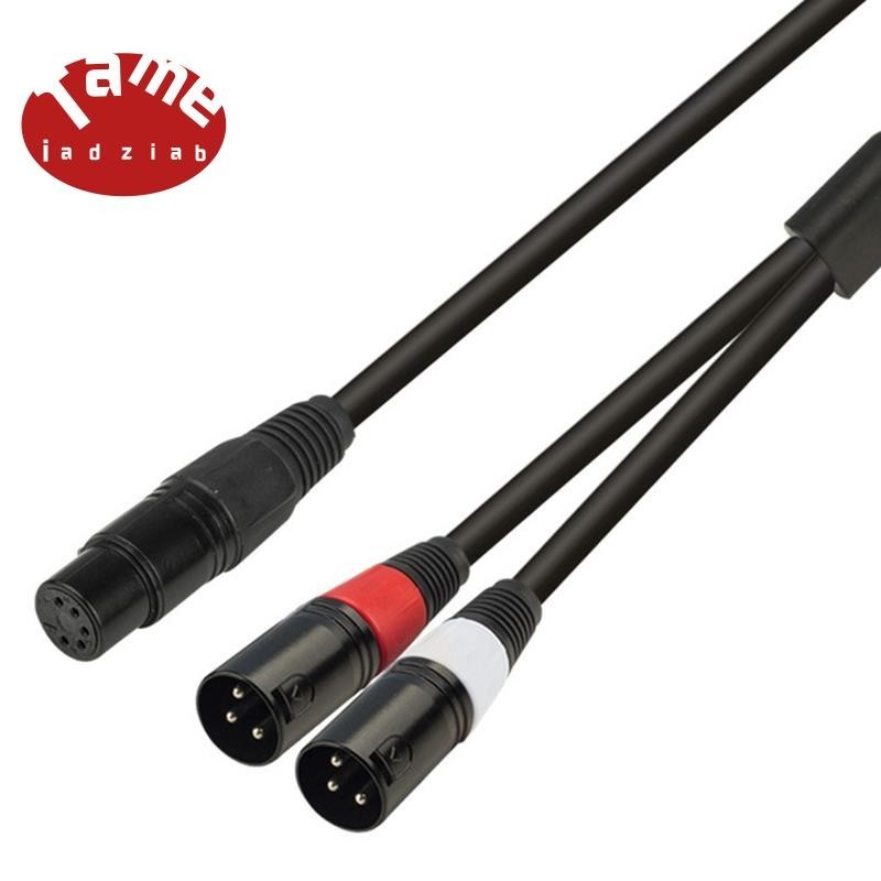 5 Core Head to 2X3 Core Double Male Audio Conversion Line XLR ...