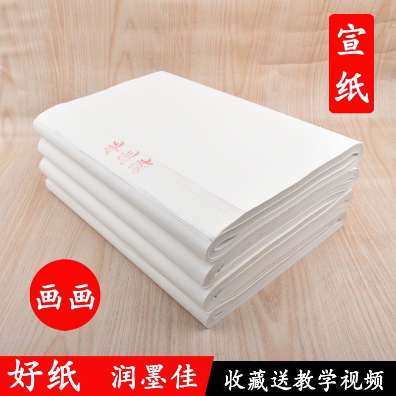#生宣纸国画专用纸书法纸生宣纸国画专用纸书法纸工笔画画初学者学生毛笔字四尺半生半熟宣250220 | Shopee Malaysia