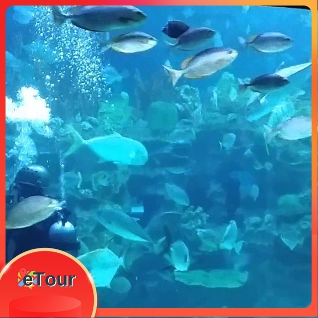 [PROMOSI] Tiket Aquaria KLCC Kuala Lumpur untuk Warganegara Malaysia